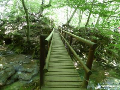 Urbasa-Andía;Aizkorri-Aratz;Aralar; parque nacional de las islas atlanticas camino santiago sarria 